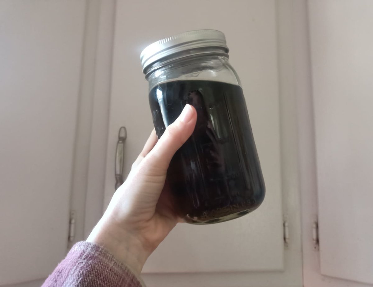 🦌🌲 tweet media