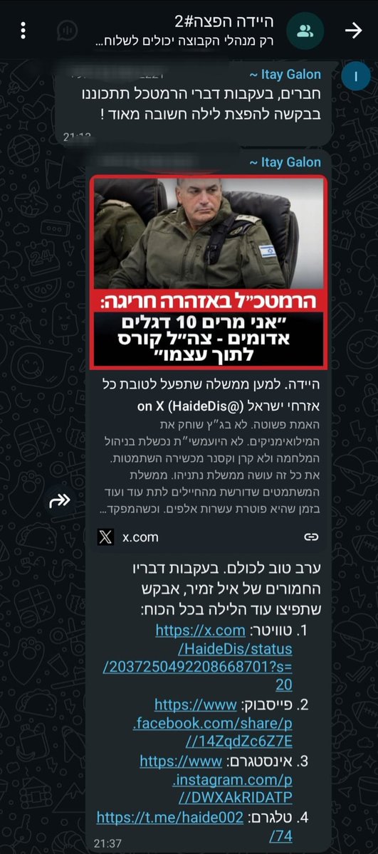 Amalia Ozer tweet media