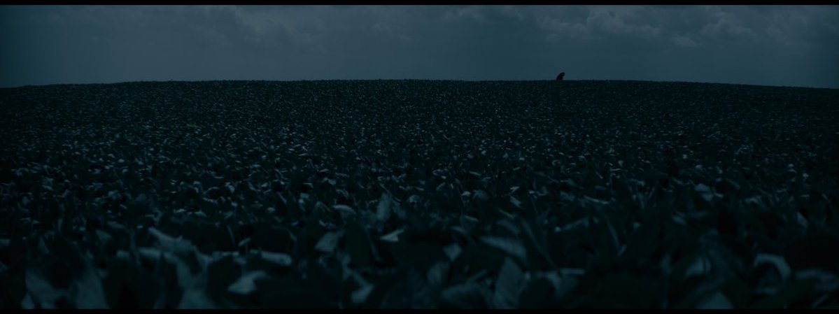 Bashayer " tweet media