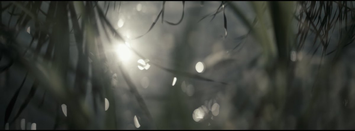 Bashayer " tweet media