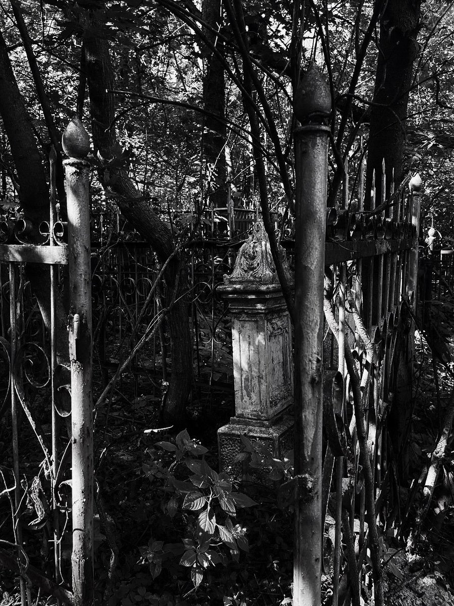 𝖁𝖆𝖒𝖕𝖞𝖗𝖎𝖆 𓋹 tweet media