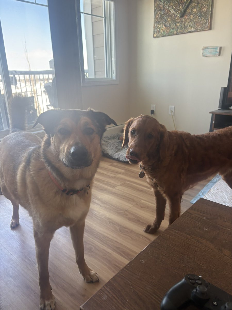 Kristin Raworth 🇨🇦 tweet media