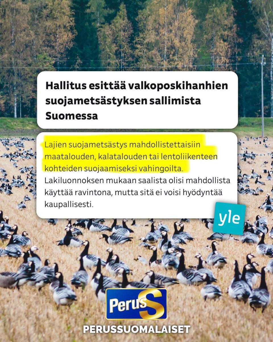 Riikka Purra tweet media