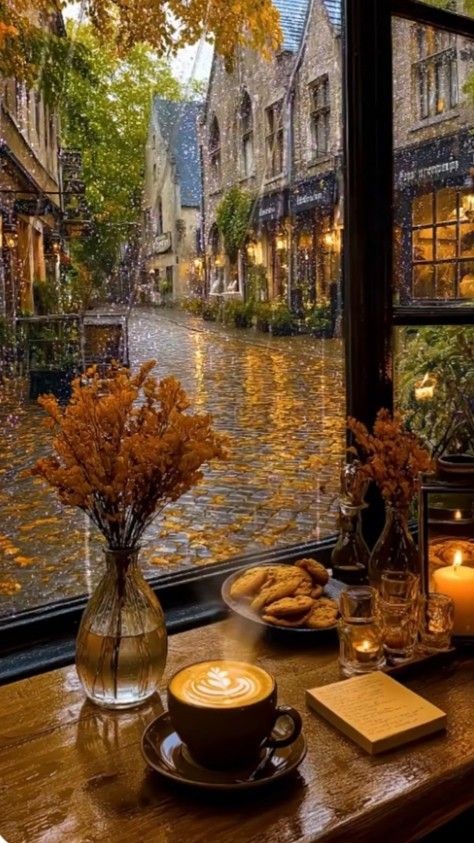 tenere / تينيري tweet media