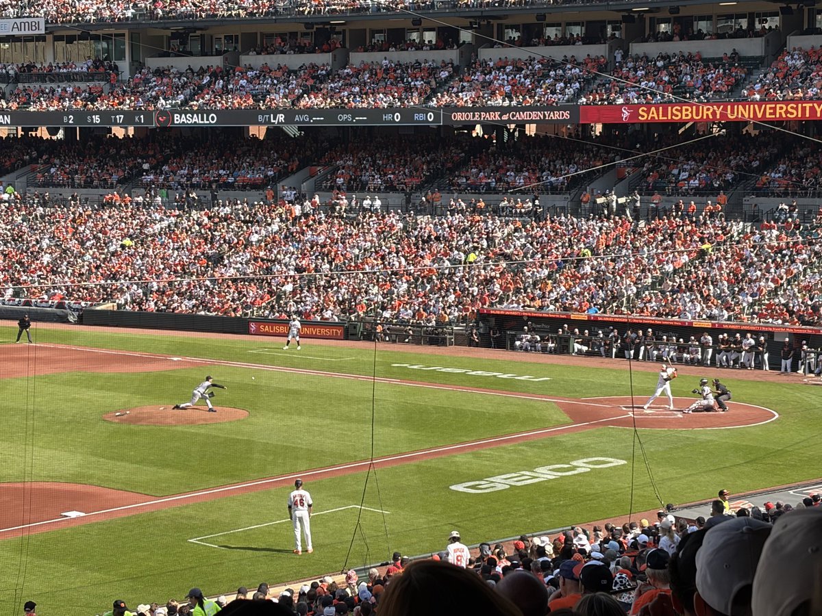 Marti Hause tweet media