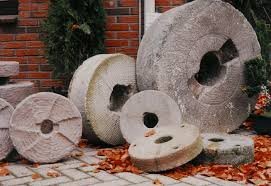 FrogButt tweet media