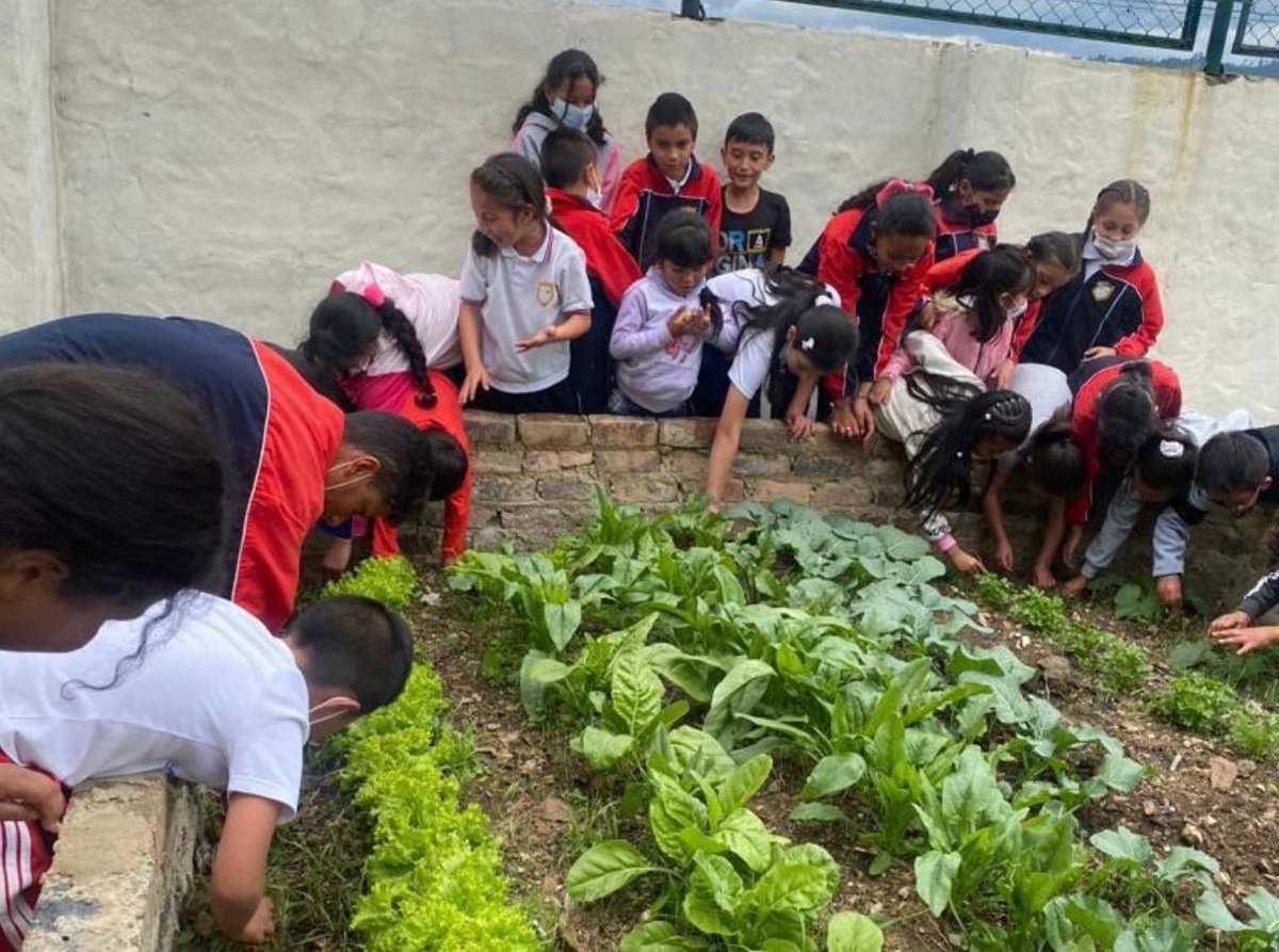 Secretaría de Educación de Boyacá tweet media