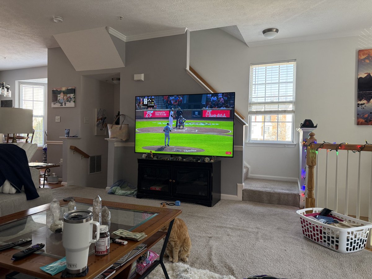 Anne Stull tweet media