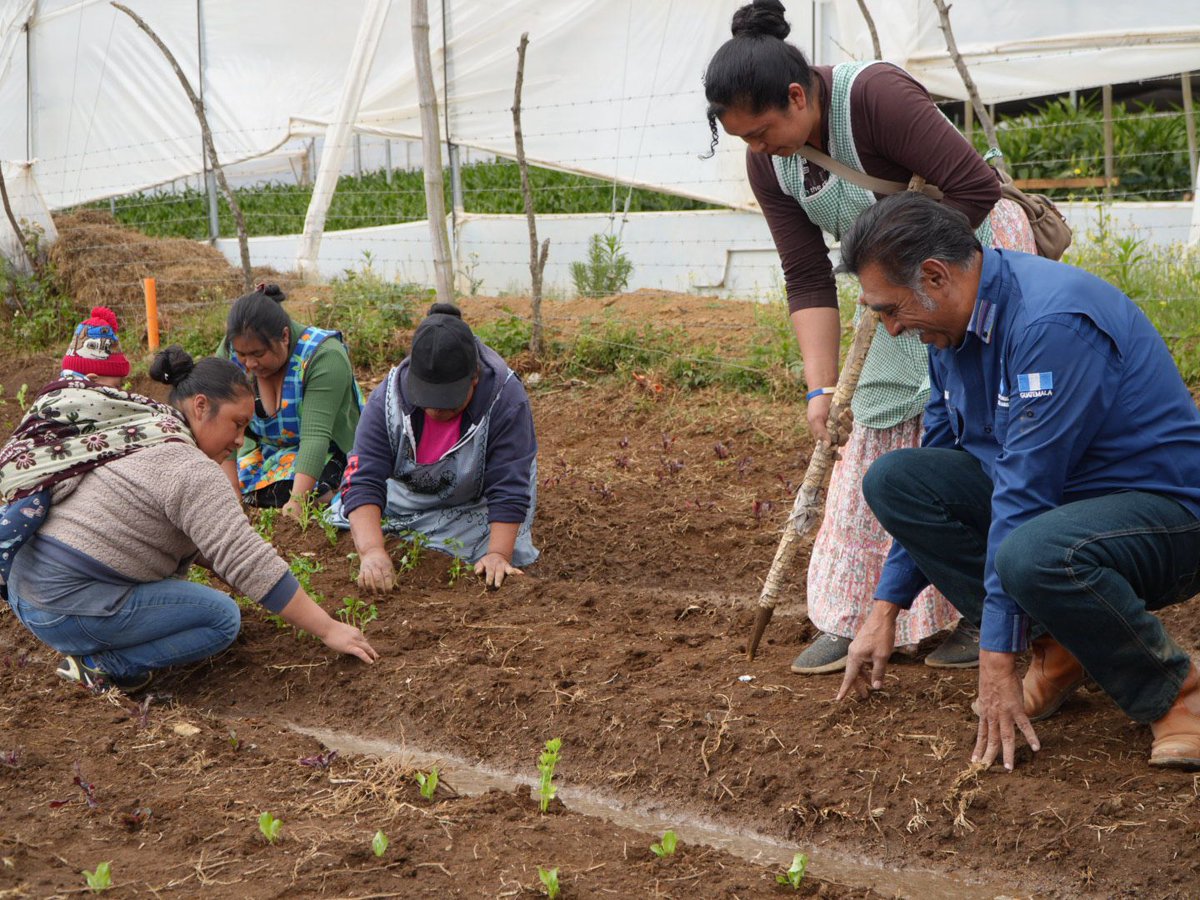 MAGA Guatemala tweet media
