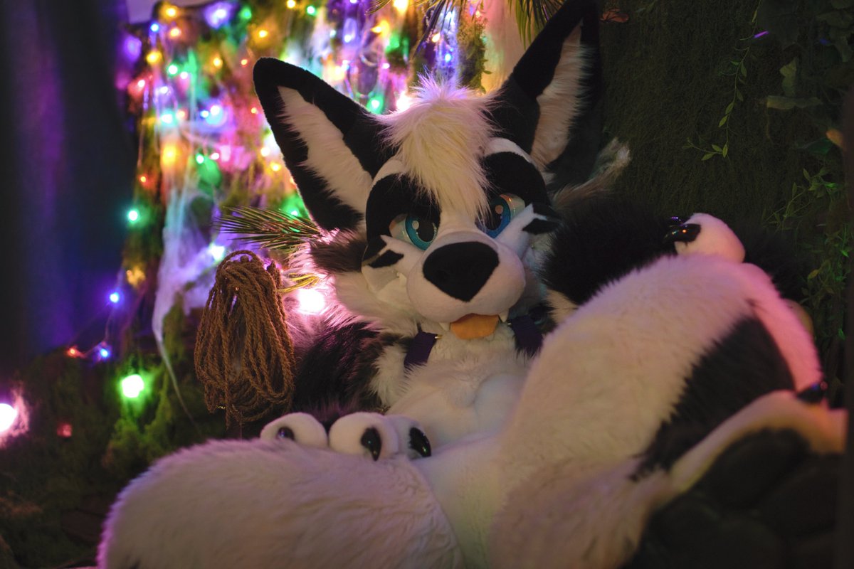 Candahan 🔜 Gdakon tweet media