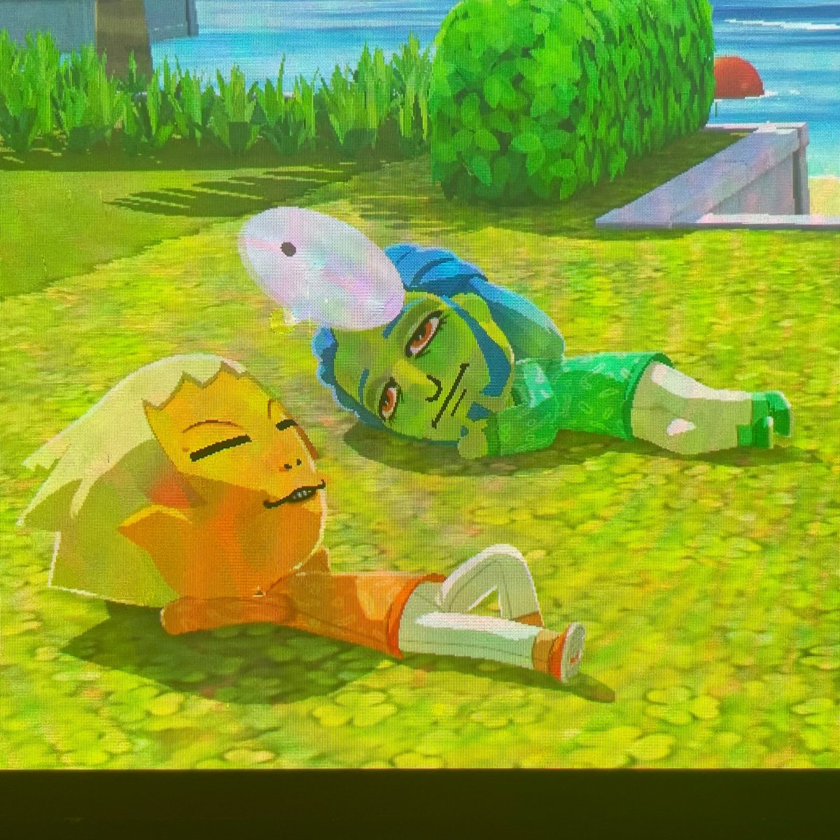 nettsy 🍊🐊 tweet media