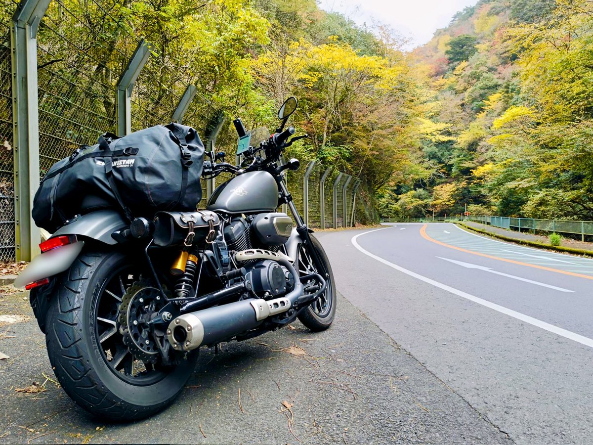 まめto𝑩𝑶𝑳𝑻 tweet media