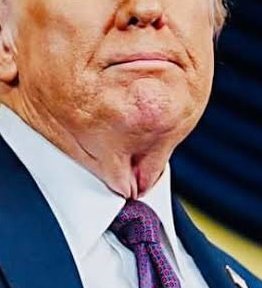 prigozhin da bahia tweet media