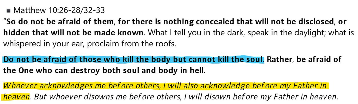 Paridae Vision tweet media