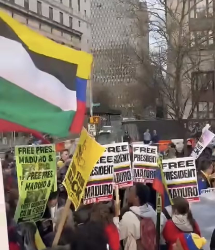 Colina José tweet media