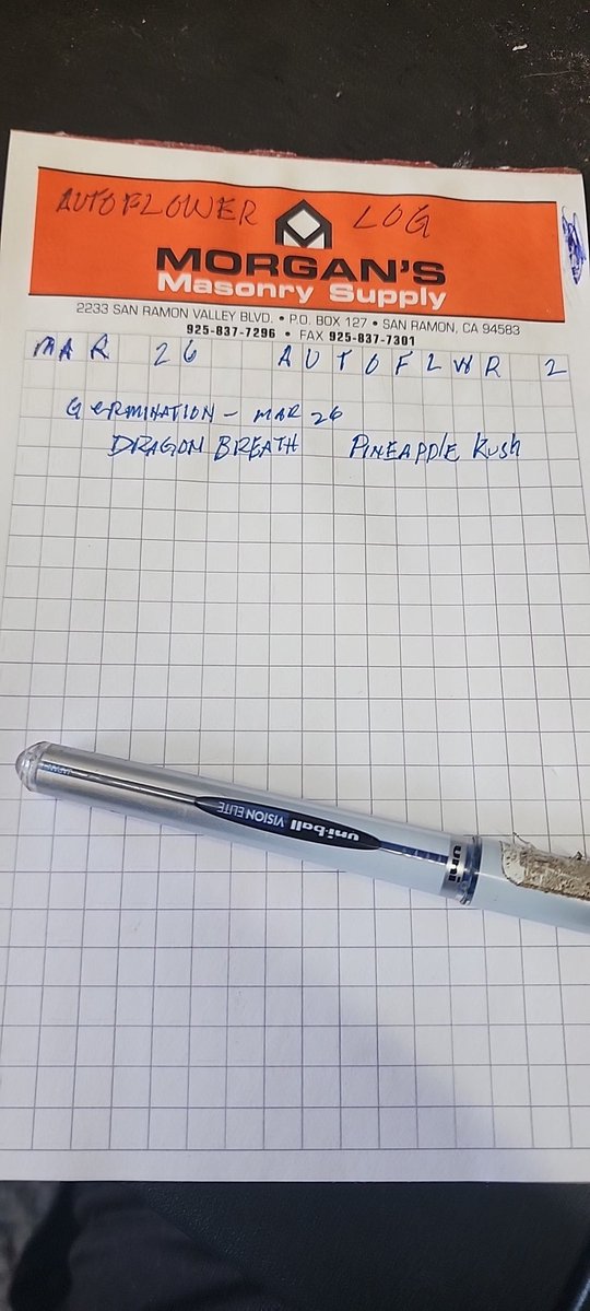 big ric UNKLBDNWZ 🐧🐧🐧🐸🐸🐸 tweet media