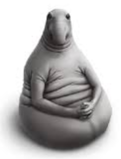 YOgik (not hedgehog) tweet media