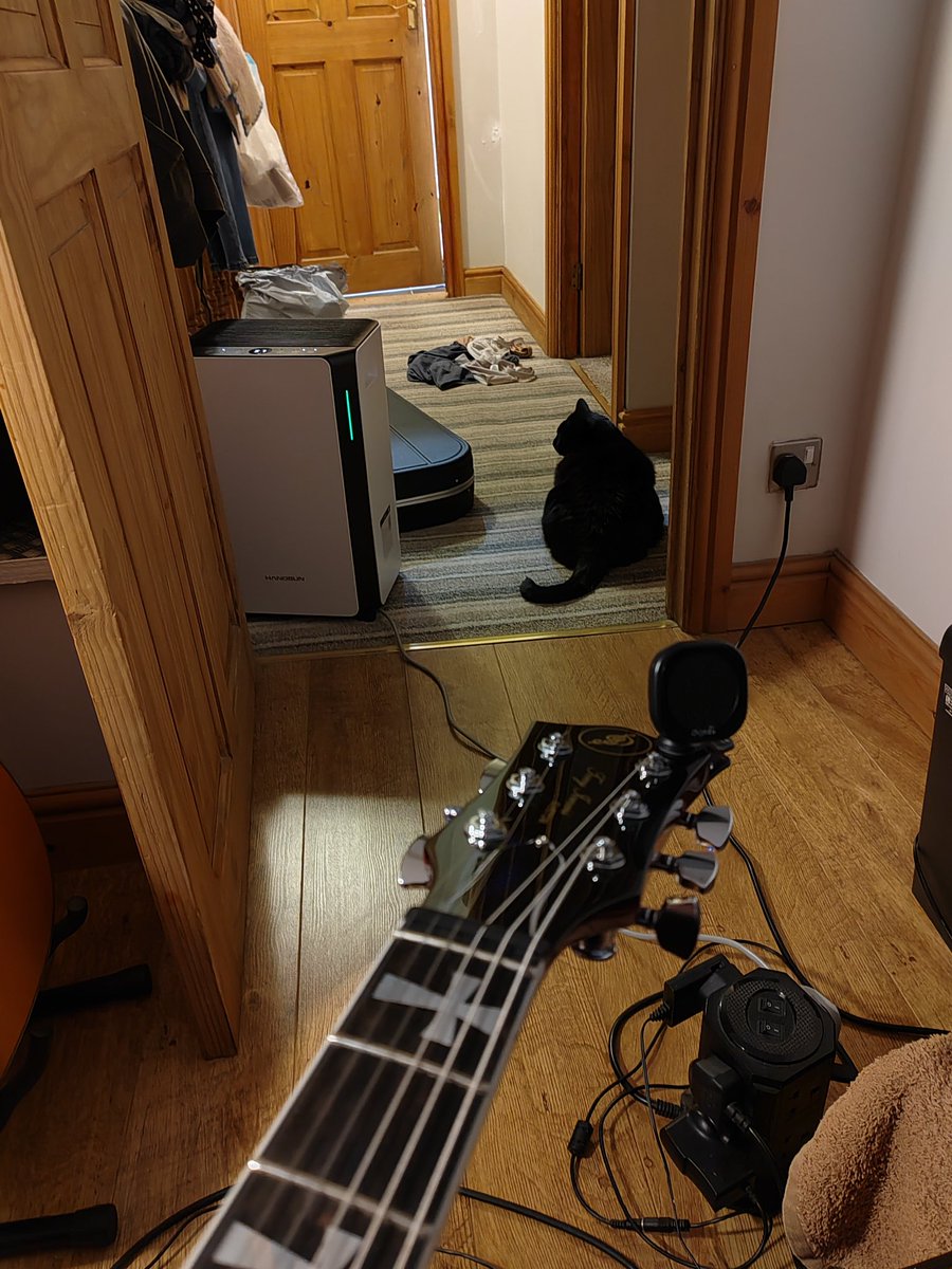 andrew newton tweet media