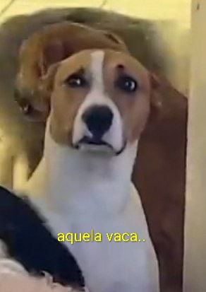 livia_cast tweet media