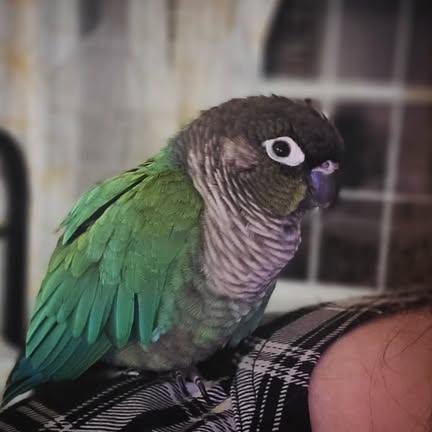 Ella🇺🇸 tweet media