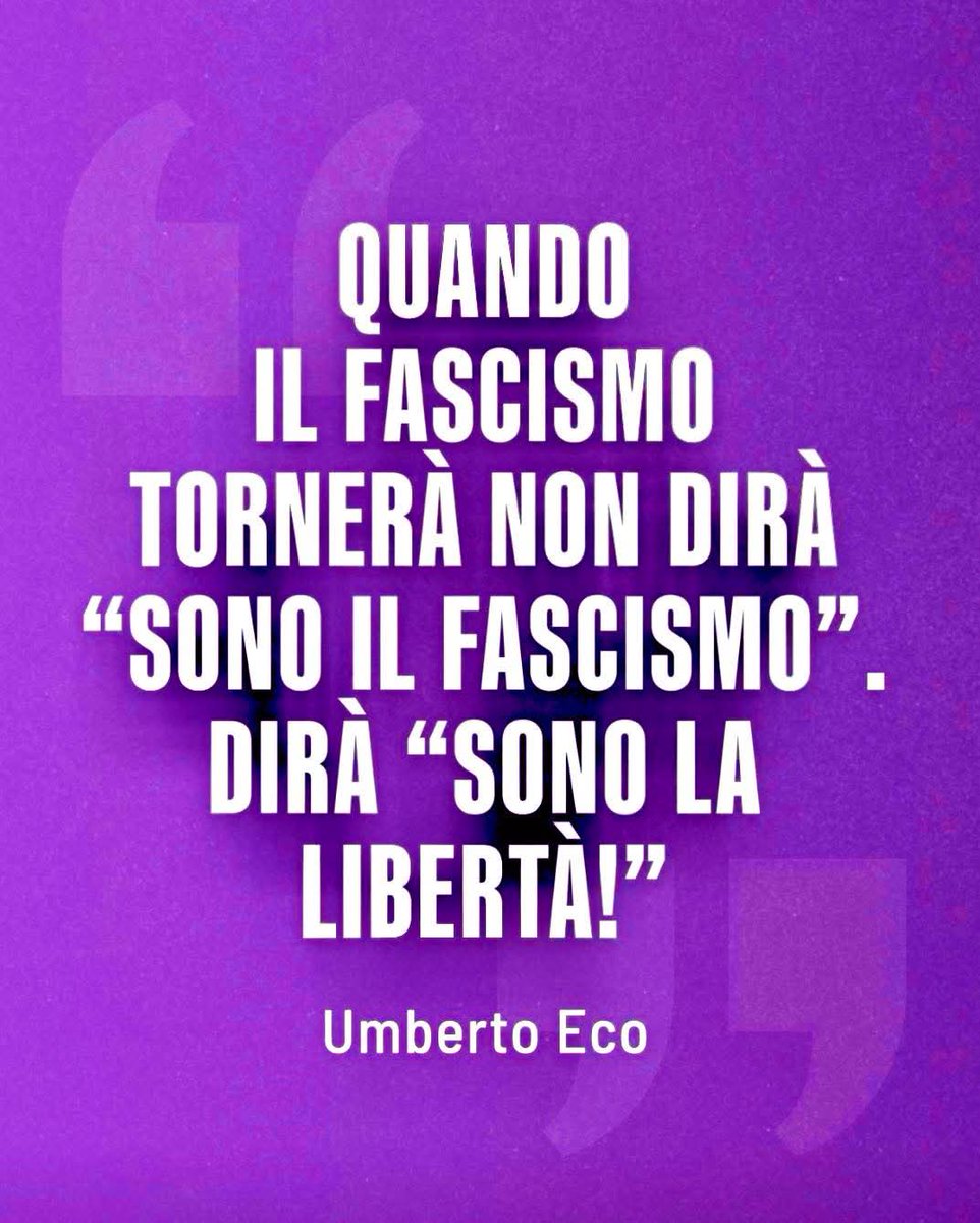 Sabó tweet media