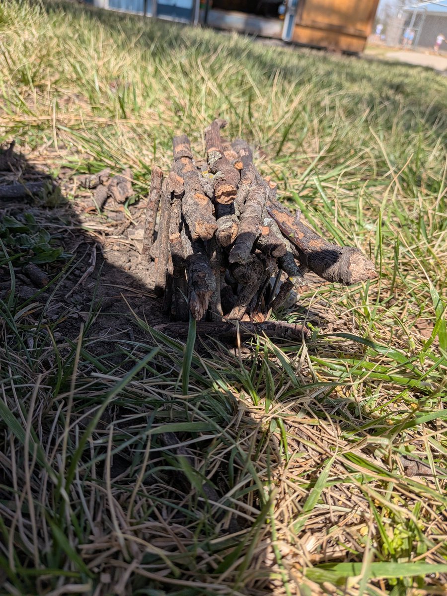 GunnarB6885's tweet image. Made a little stick hut today.
#sticks #outdoors