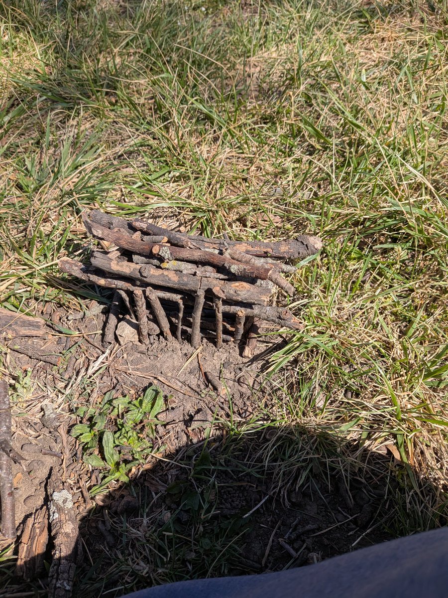 GunnarB6885's tweet image. Made a little stick hut today.
#sticks #outdoors