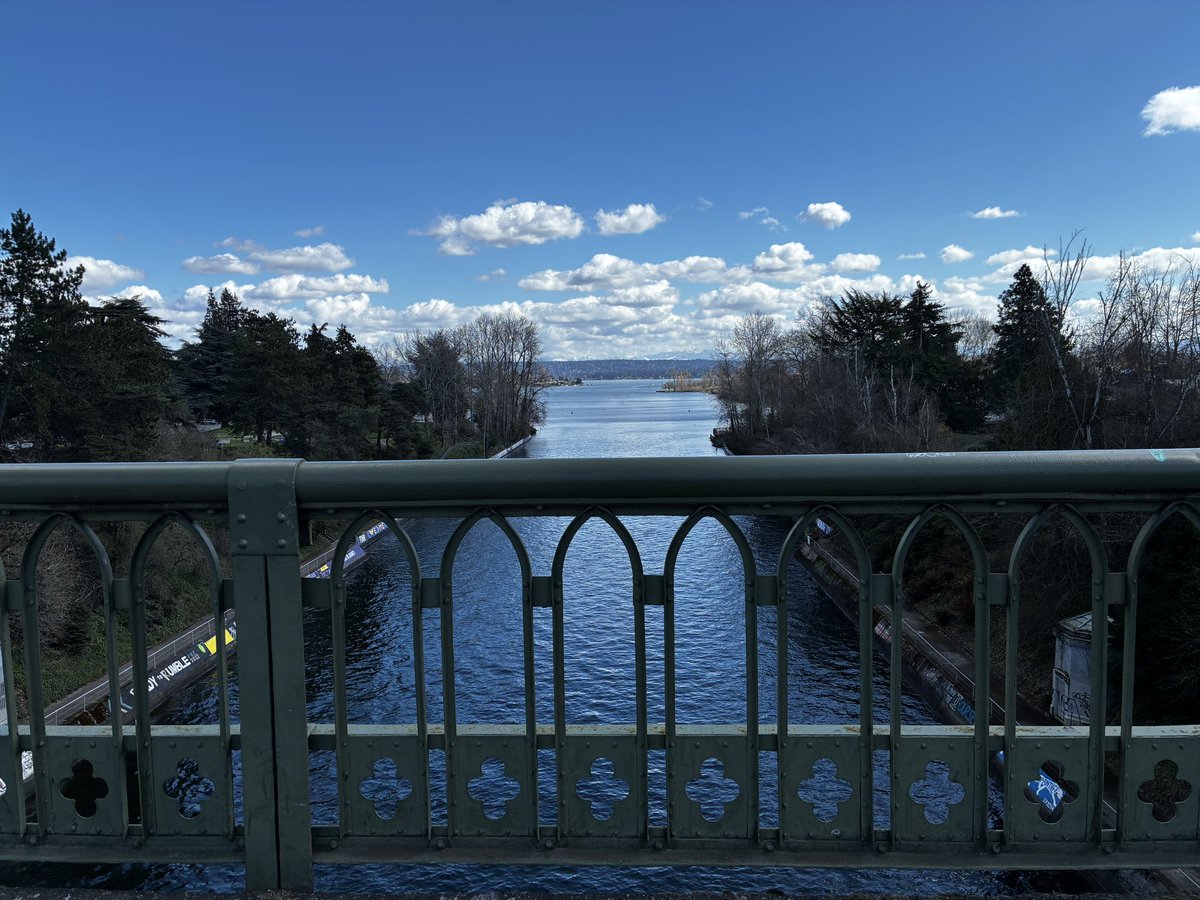 SeizureSalad 🧠 tweet media