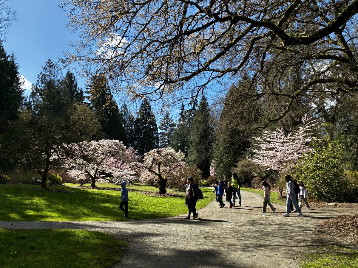 SeizureSalad 🧠 tweet media