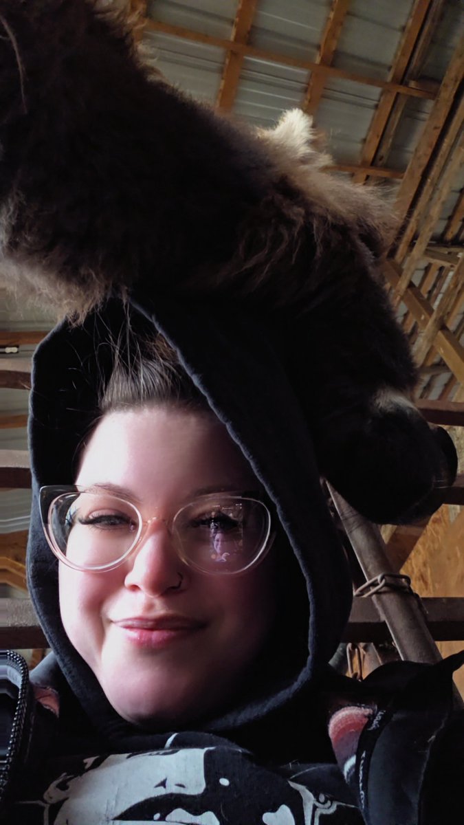 stressy bessy 🦋 tweet media