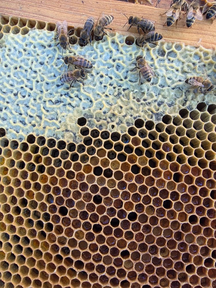 Basin Street Properties tweet media