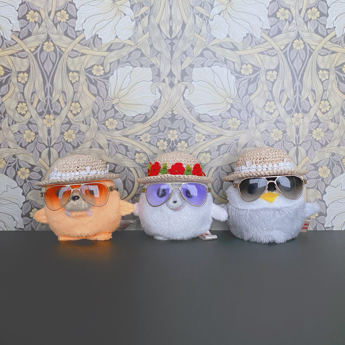 🥚🐣🐥 tweet media