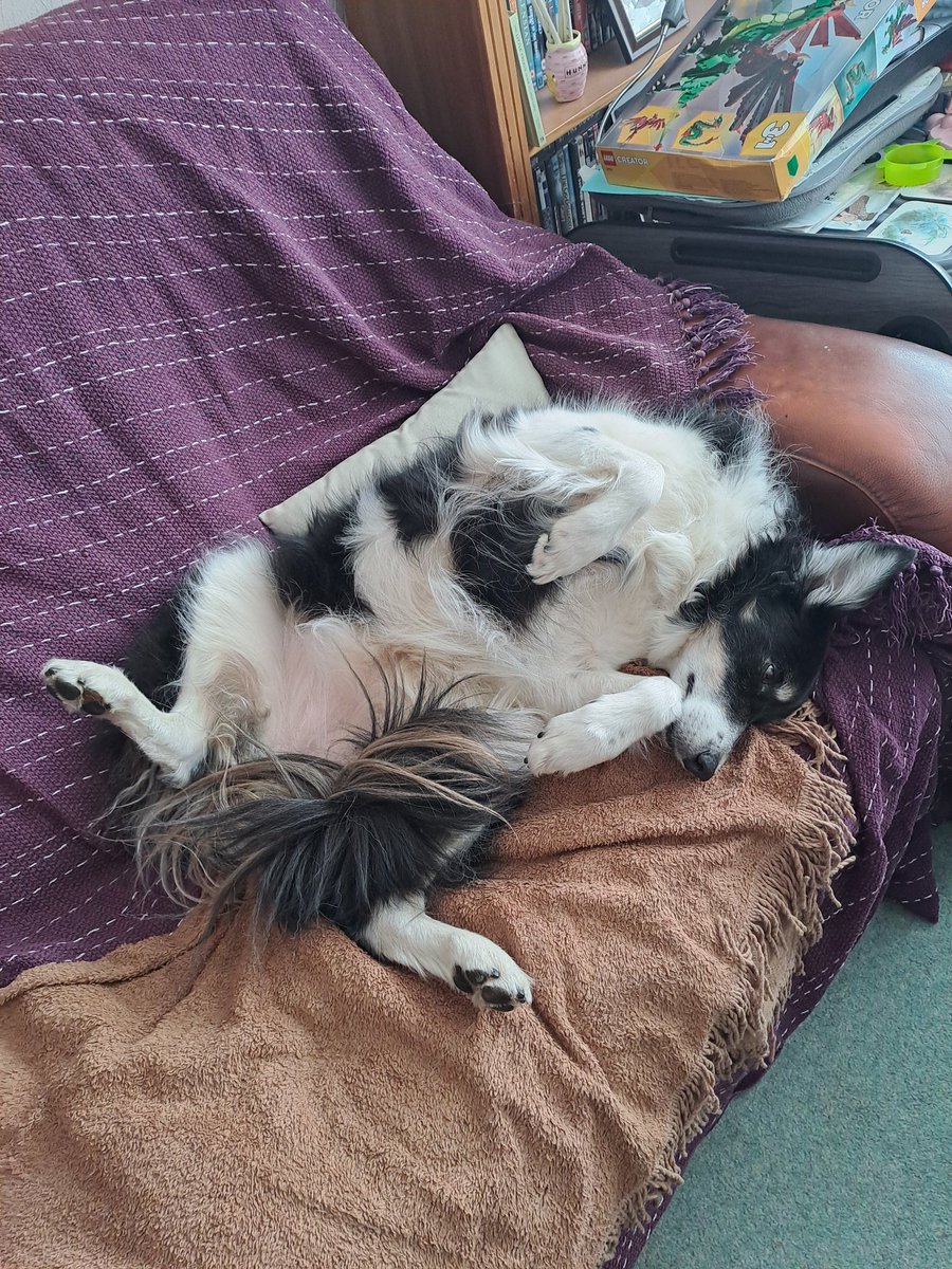 Beverley Jean Smith tweet media