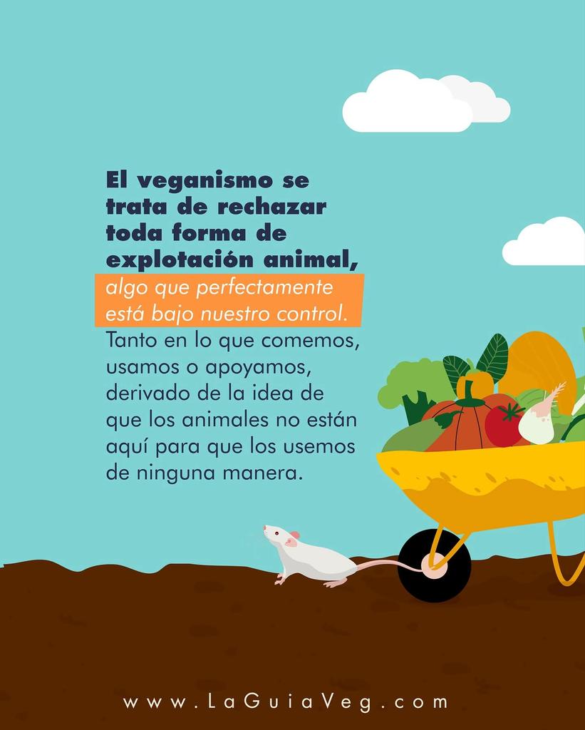 Filosofía Vegana tweet media