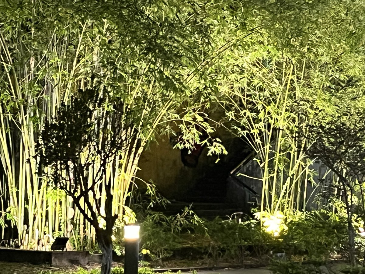 ❤️MouetteMoqueuse🇺🇦😜 tweet media