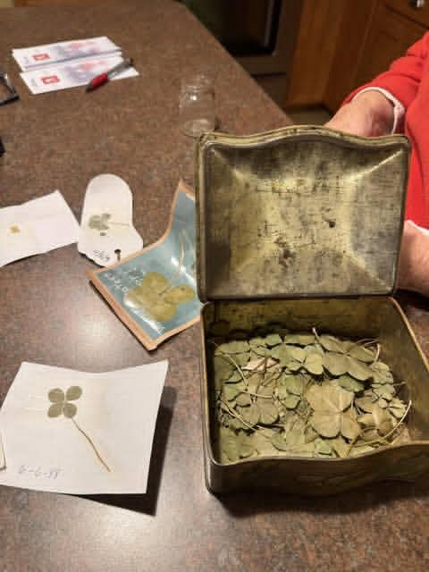 Ella🇺🇸 tweet media