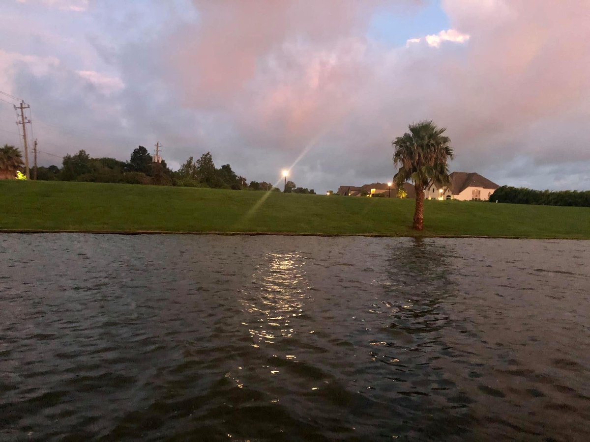 Htownfinfan tweet media