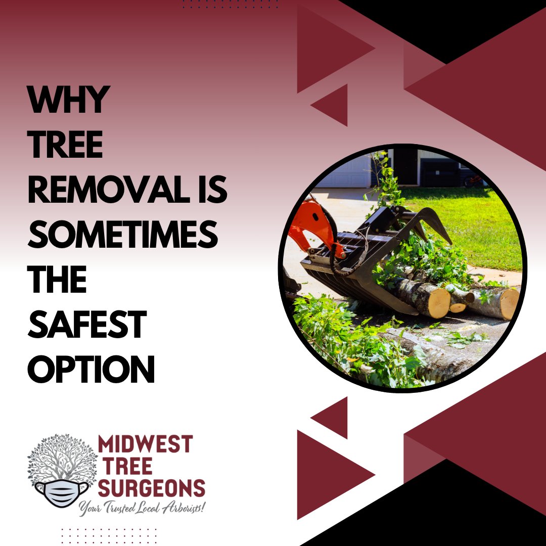 Midwest Tree Surgeons (@Midwest_Tree_S) / Posts / X