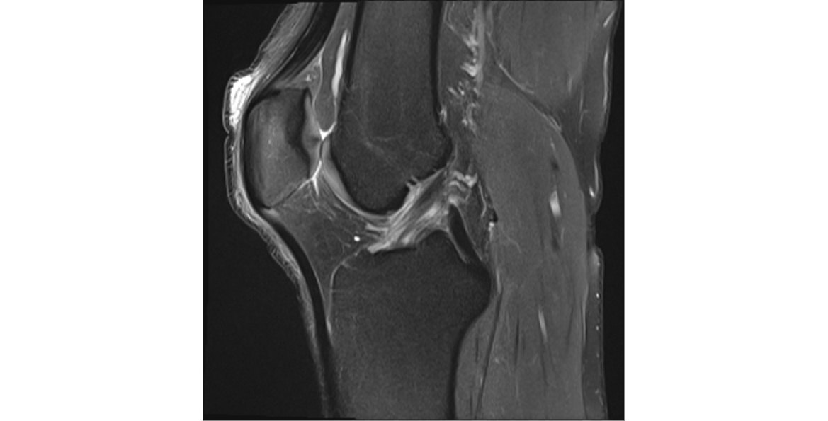 Daniel McKinnon tweet media