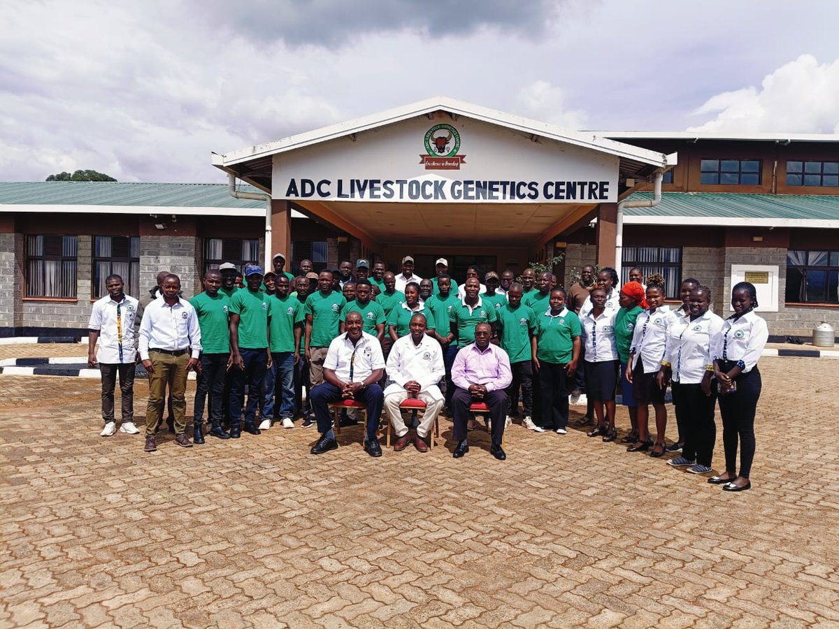 adckenya tweet media