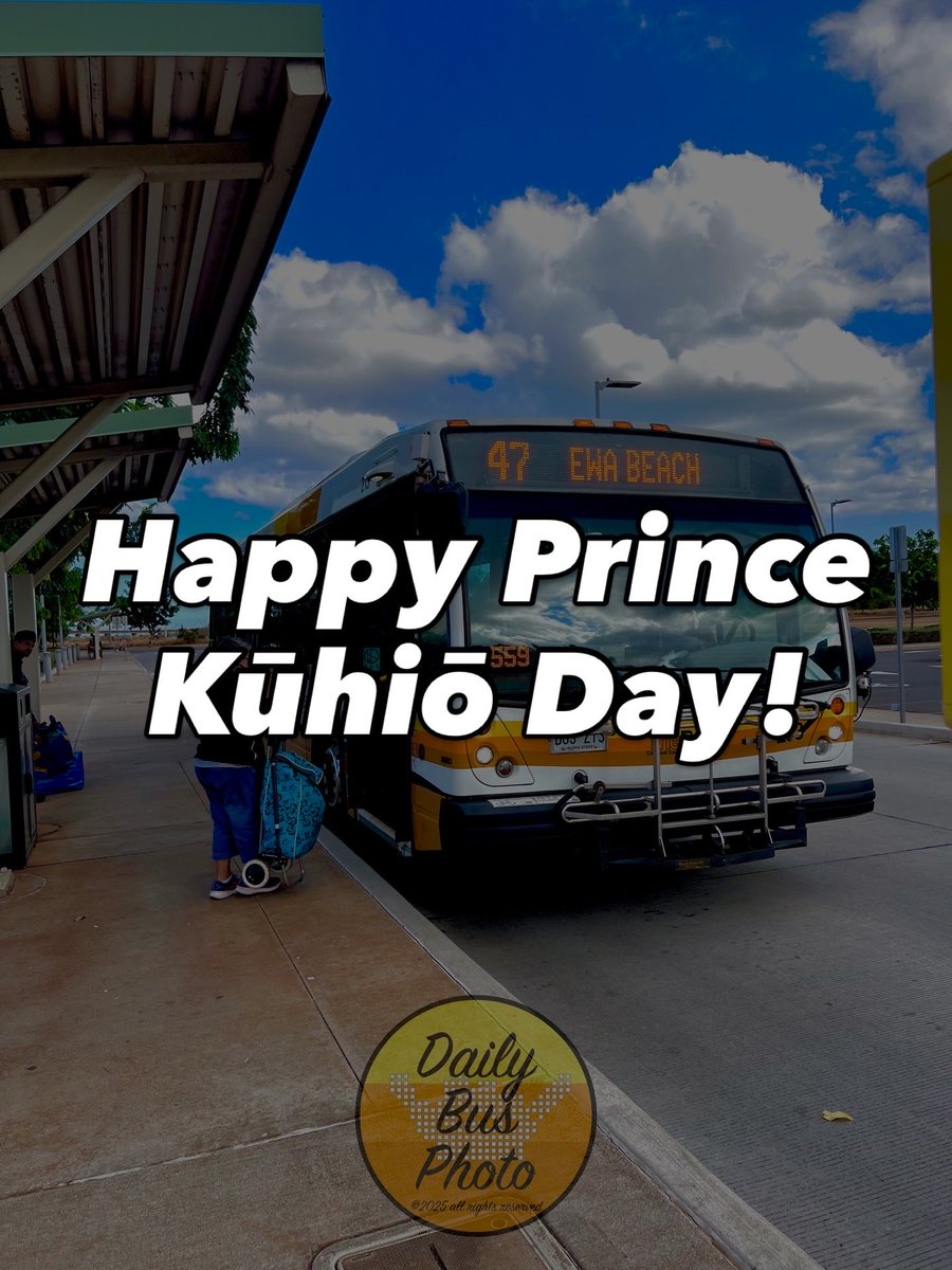 Daily bus photo? tweet media