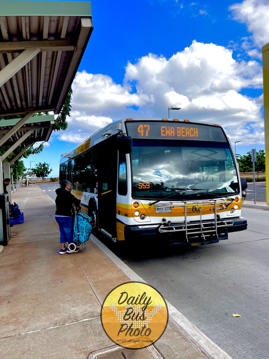 Daily bus photo? tweet media