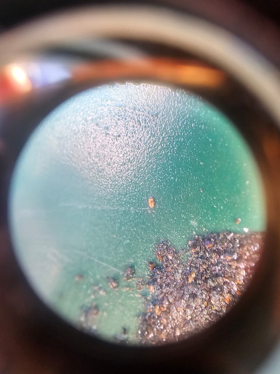 Axies Ventures tweet media