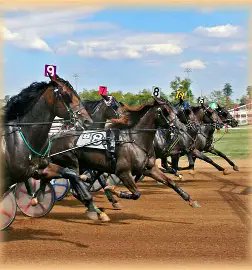 🏇 AmWager 🏇 tweet media