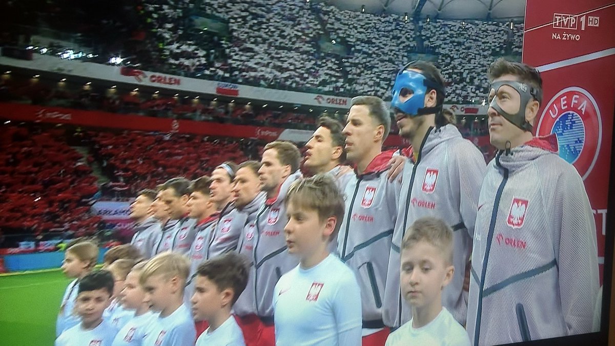 TurtleHype tweet media