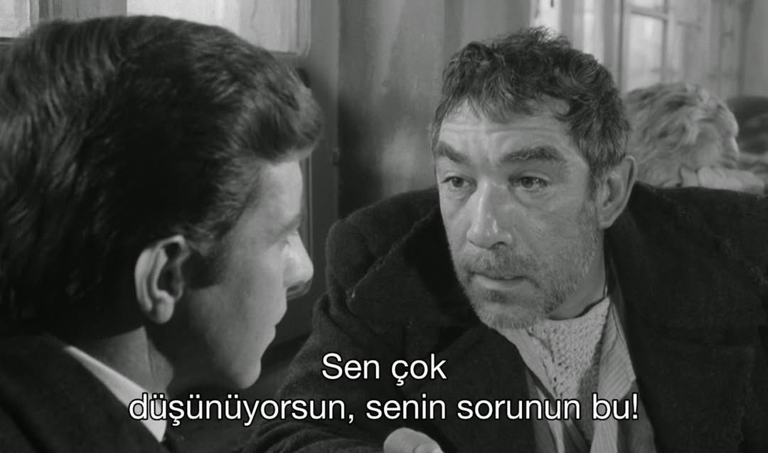 meursault tweet media