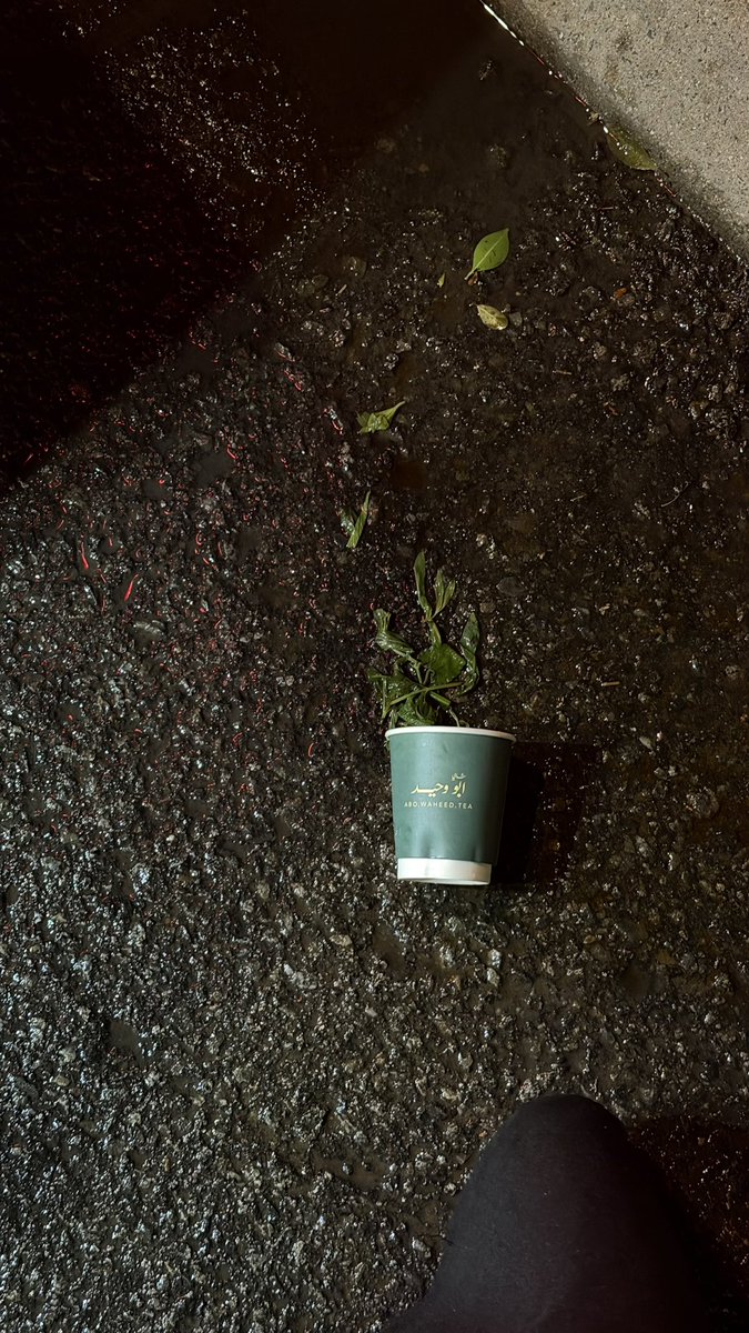 𝔾ℍ𝔸𝕃𝔸‏ tweet media