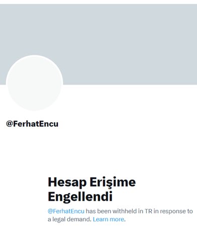 Gökçe Katun tweet media