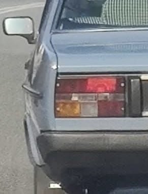 L’Oasi di Salvo tweet media