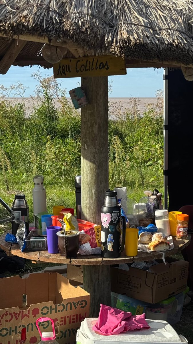 Maia Reficco Updates tweet media